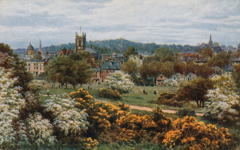 Tunbridge Wells a The Common felől alkotó: Alfred Robert Quinton