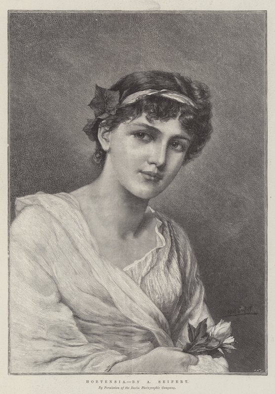 Hortensia alkotó: Alfred Seifert