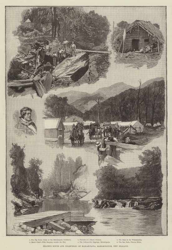 Pelorus Sound és Goldfields Mahakipawa, Marlborough, Új-Zéland alkotó: Amedee Forestier