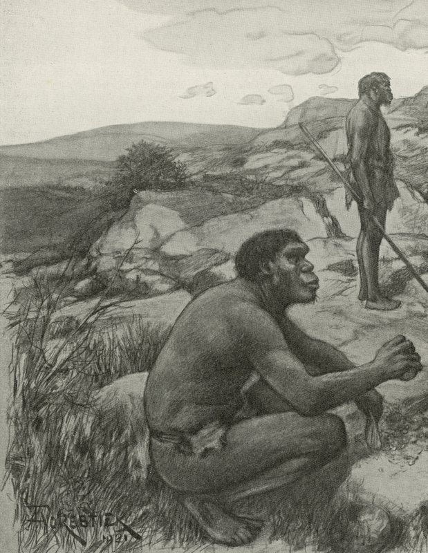 Rodéziai ember alkotó: Amedee Forestier