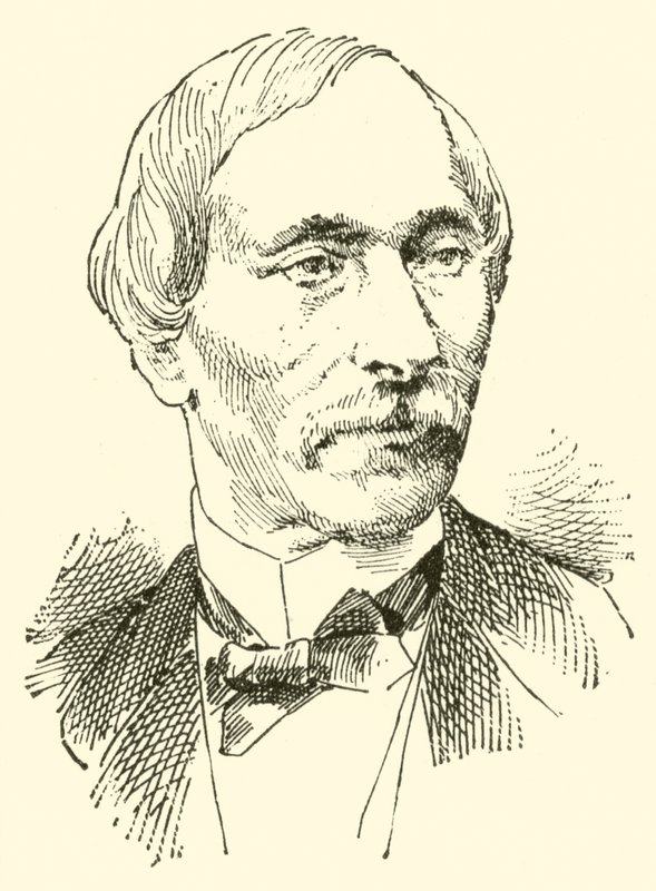 szárazföldi delfin alkotó: American School
