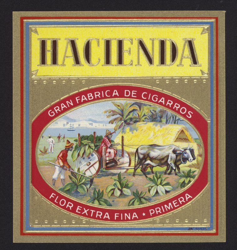 Hacienda alkotó: American School
