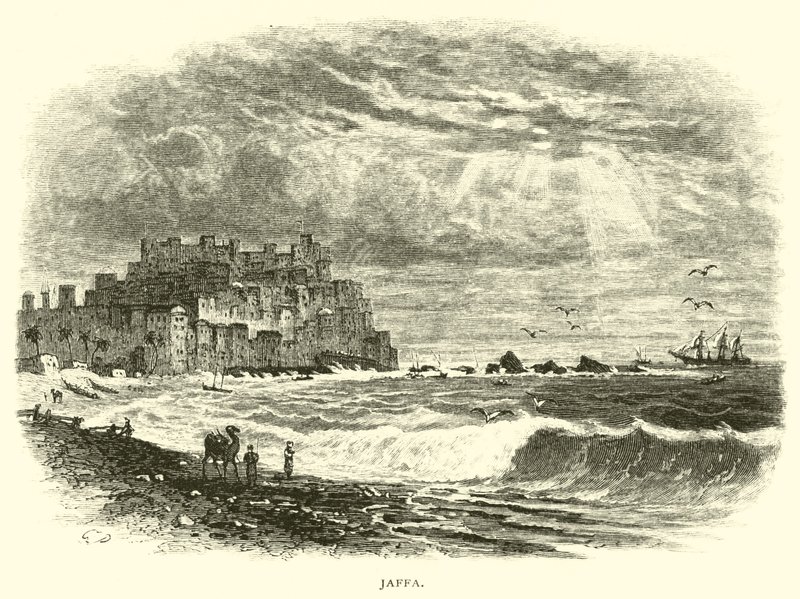 Jaffa alkotó: American School