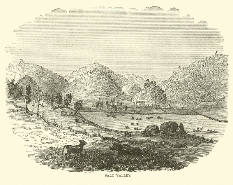 Sóvölgy, 1864. december alkotó: American School