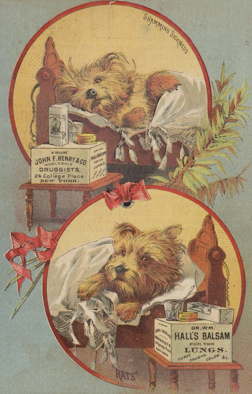 Terrier Kutya Az ágyban alkotó: American School
