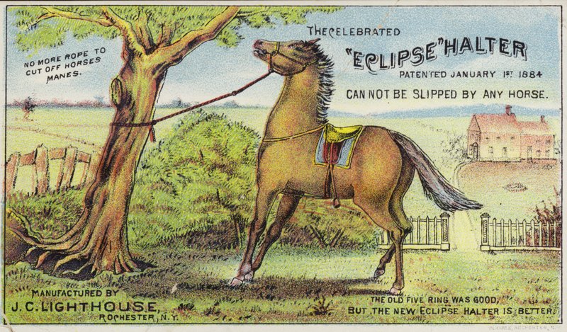 Tethered Horse alkotó: American School