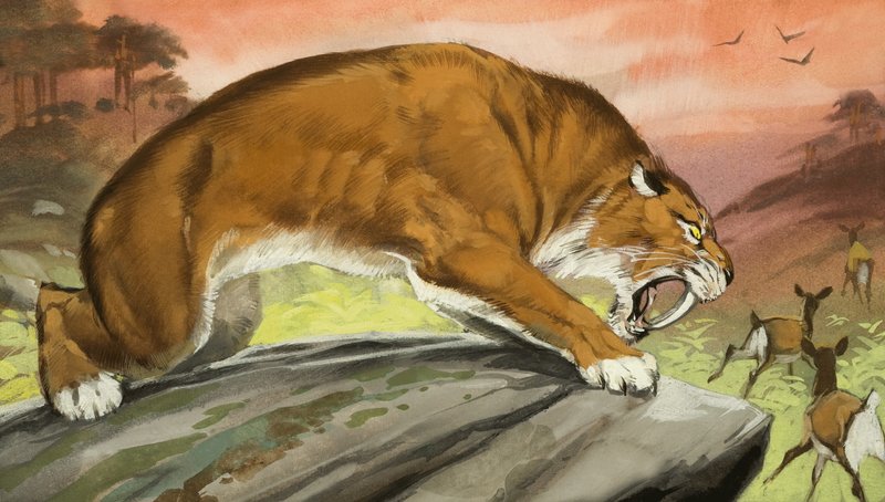Szablyafogú tigris vadászik alkotó: Angus McBride