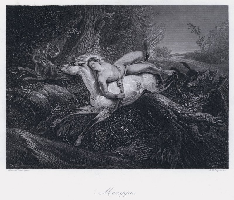 Mazeppa (metszet) alkotó: Antoine Charles Horace Vernet