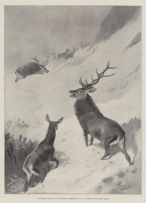 Sportos témák a Deep Drift-en keresztül alkotó: Archibald Thorburn