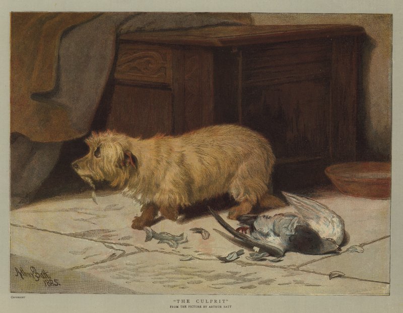 A bűnös (chromolitho) alkotó: Arthur Batt