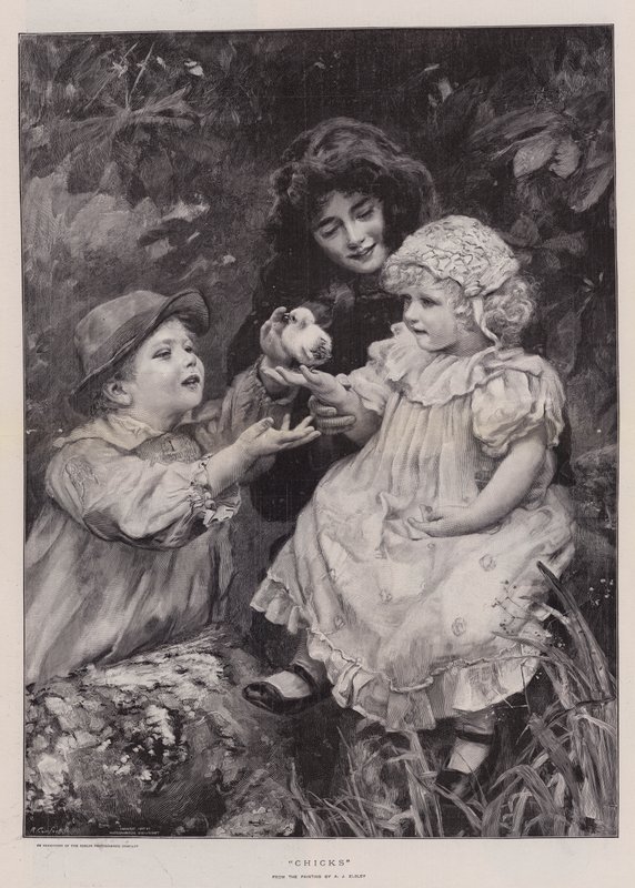 Csibék (metszet) alkotó: Arthur John Elsley