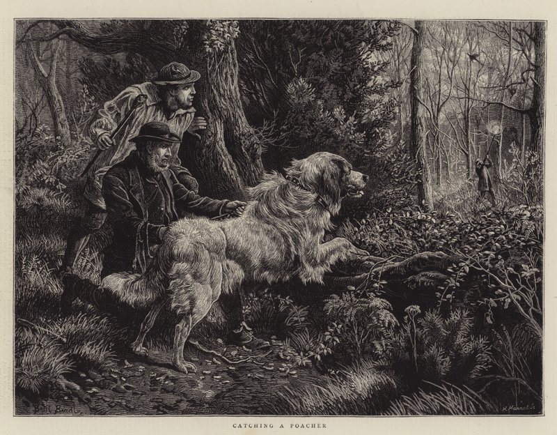Az orvvadász elfogása alkotó: Basil Bradley
