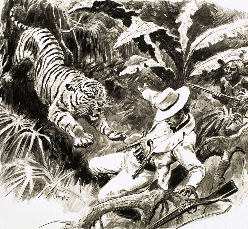 Vadászra támadó tigris alkotó: C.L. Doughty