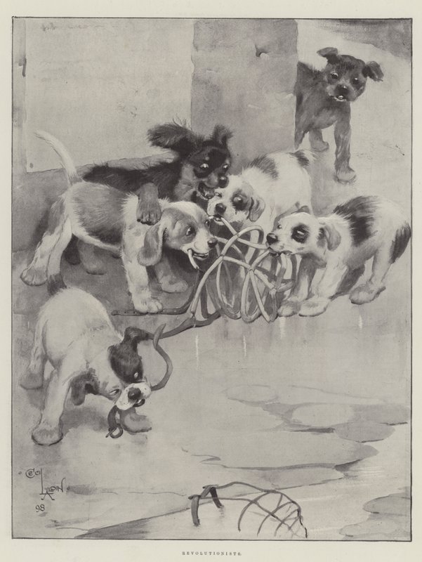 Forradalmárok alkotó: Cecil Charles Windsor Aldin