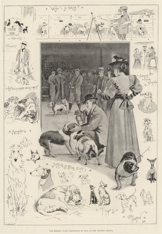 A Kennel Club kutyakiállítása a Crystal Palace-ban alkotó: Cecil Charles Windsor Aldin