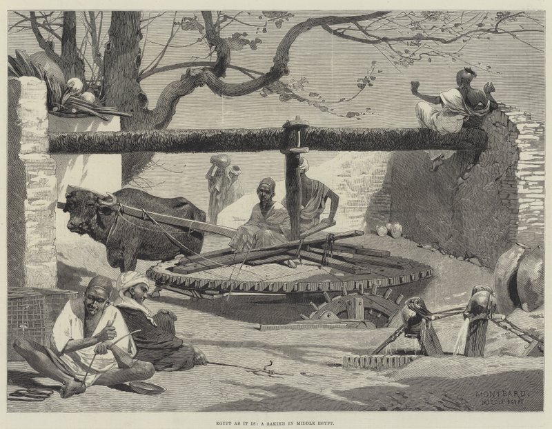 Egyiptom úgy, ahogy van, egy szakieh Közép-Egyiptomban alkotó: Charles Auguste Loye