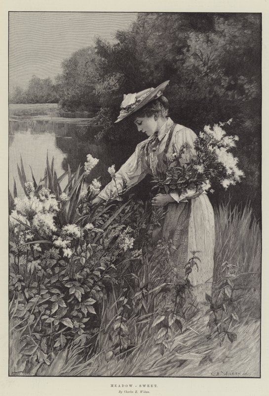 Réti-Édes alkotó: Charles Edward Wilson