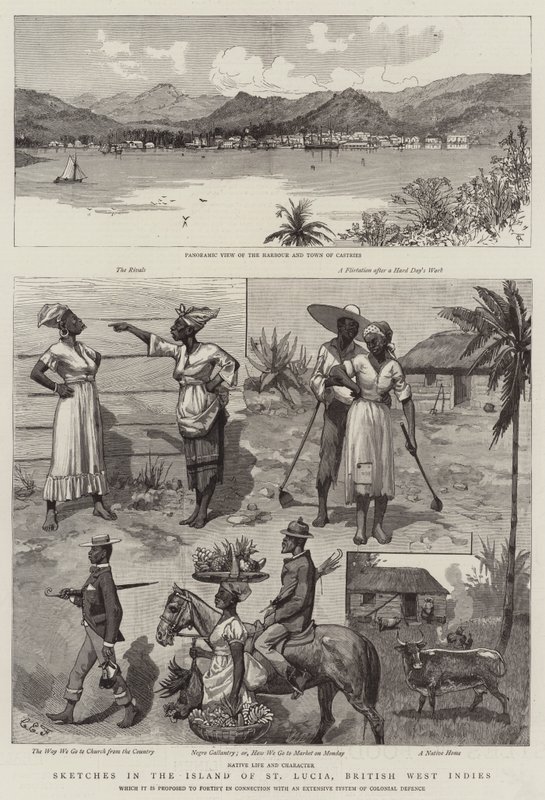Vázlatok St Lucia szigetén, Brit Nyugat-Indiában alkotó: Charles Edwin Fripp