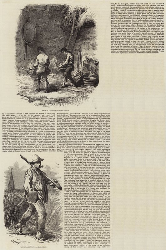 Mezőgazdaság Franciaországban alkotó: Charles Emile Jacque