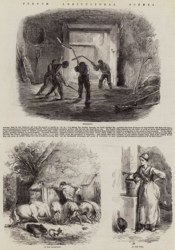 Francia mezőgazdasági jelenetek alkotó: Charles Emile Jacque