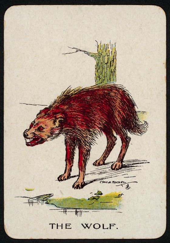 A farkas (színes litó) alkotó: Charles A. Buchel