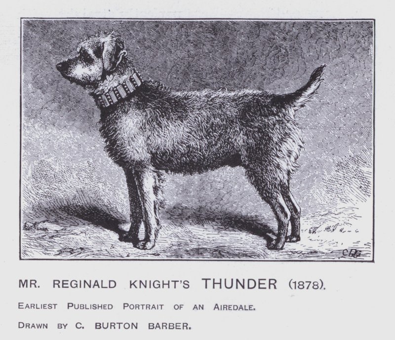 Mr Reginald Knight