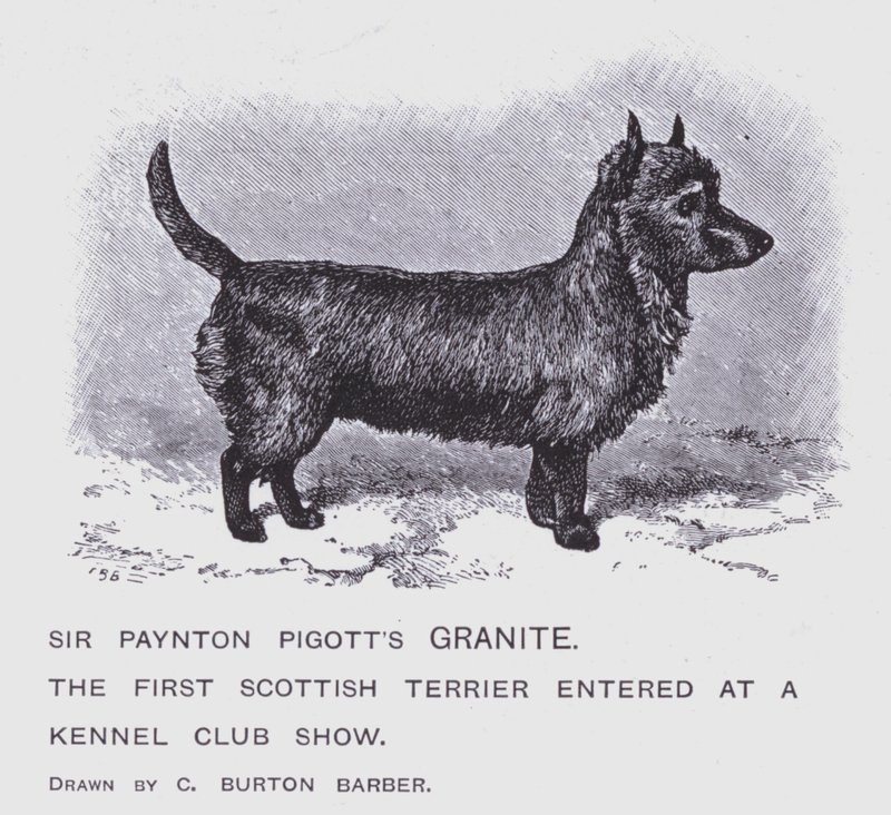 Sir Paynton Pigott gránitja (litho) alkotó: Charles Burton (after) Barber