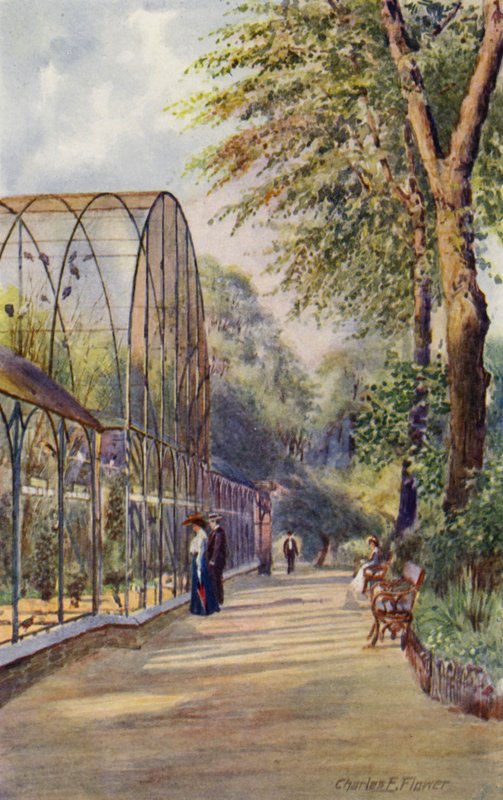 Londoni Állatkert: Western Aviary (színes litho) alkotó: Charles Edwin Flower