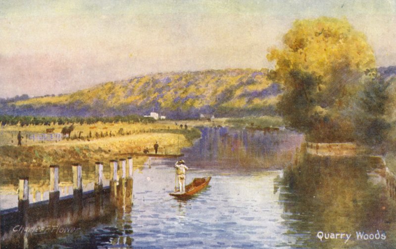 Temze folyó: Quarry Woods (színes litográfia) alkotó: Charles Edwin Flower