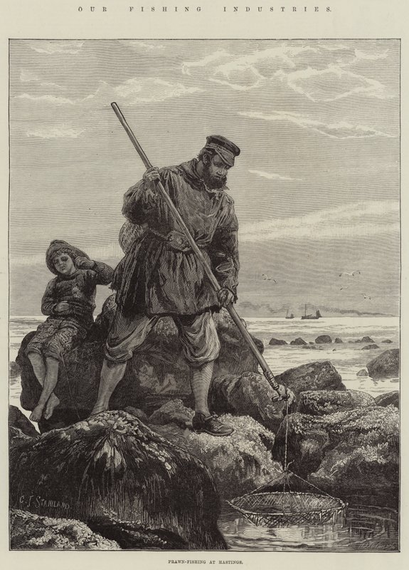 Halászati ágazataink, garnélarákhalászat Hastingsben alkotó: Charles J. Staniland