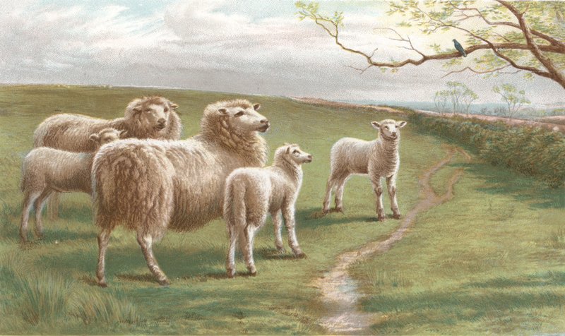 A tavasz dala (chromolitho) alkotó: Charles Jones