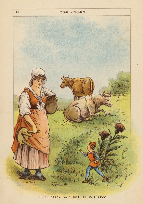 Tom Thumb (színes litográfia) alkotó: Constance Haslewood