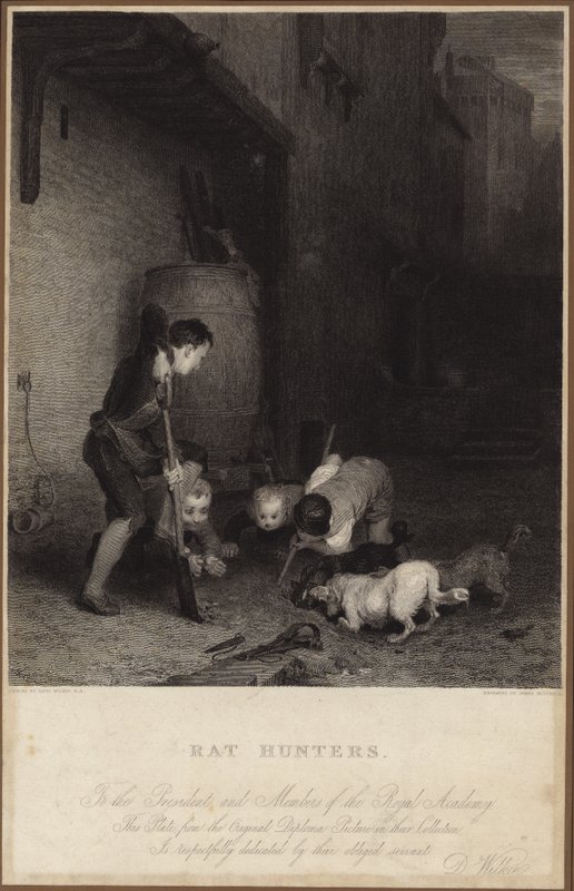 Patkányvadászok alkotó: David Wilkie