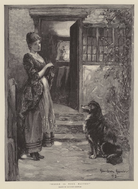 Hol van a gazdád alkotó: Davidson Knowles