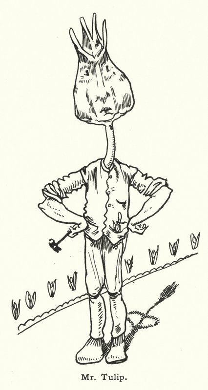 Tulipán úr alkotó: Dion Clayton Calthrop