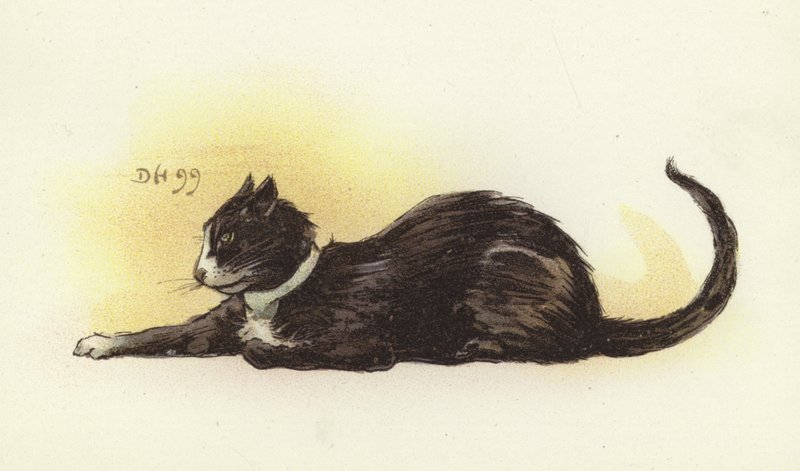 Savoy Cat alkotó: Dudley Hardy