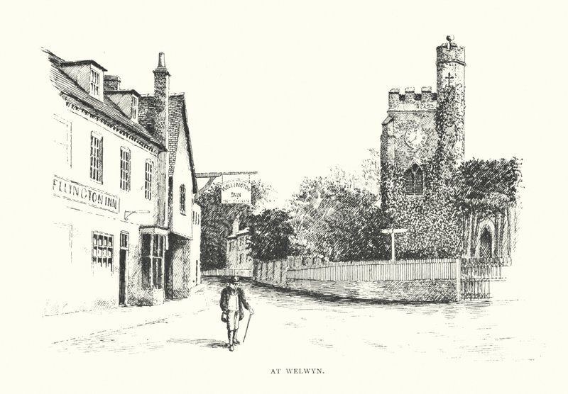 Welwynben (litográfia) alkotó: Duncan Moul