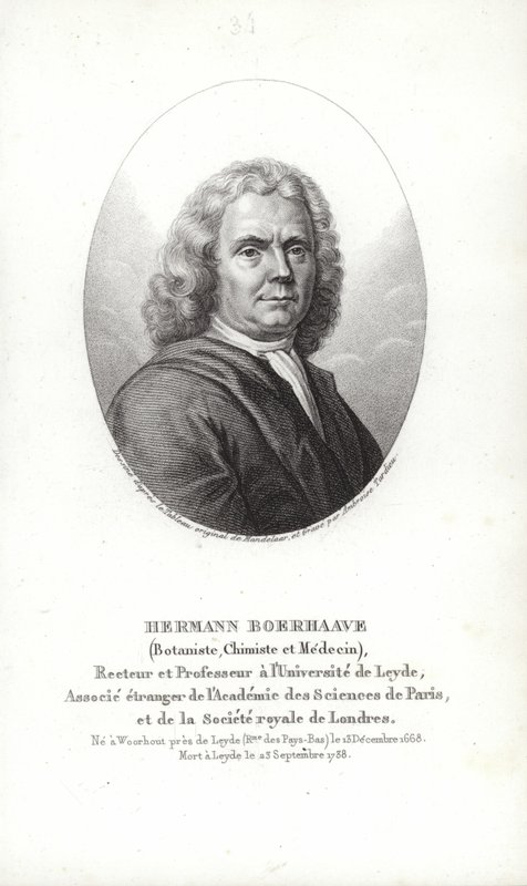 Herman Boerhaave alkotó: Dutch School