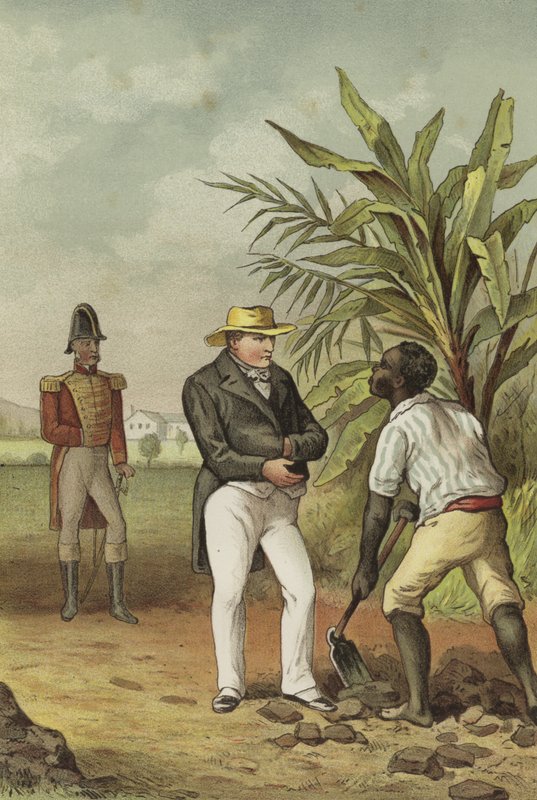 Napóleon a Szent Ilonán alkotó: Dutch School