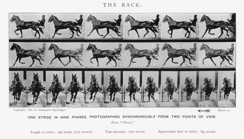 Eadweard Muybridge: The Rack (f/w fotó) alkotó: Eadweard Muybridge