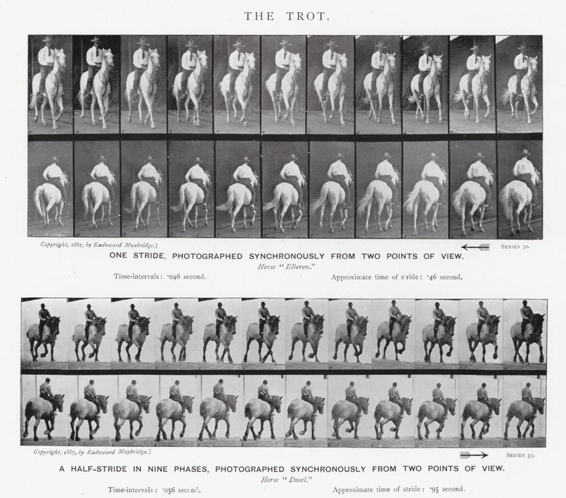 Eadweard Muybridge: Az ügetés alkotó: Eadweard Muybridge