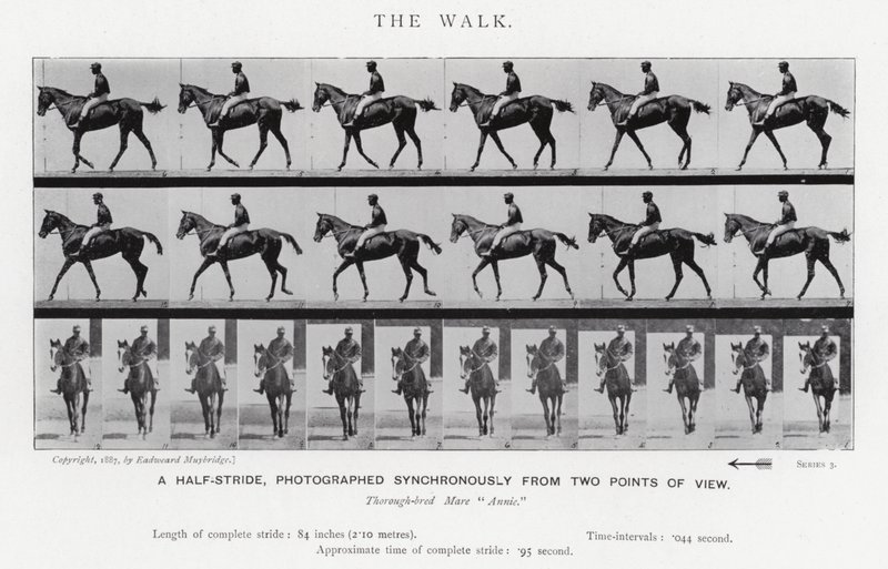 Eadweard Muybridge: The Walk (f/w fotó) alkotó: Eadweard Muybridge
