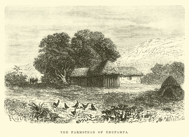 Unupampa tanyája alkotó: Edouard Riou