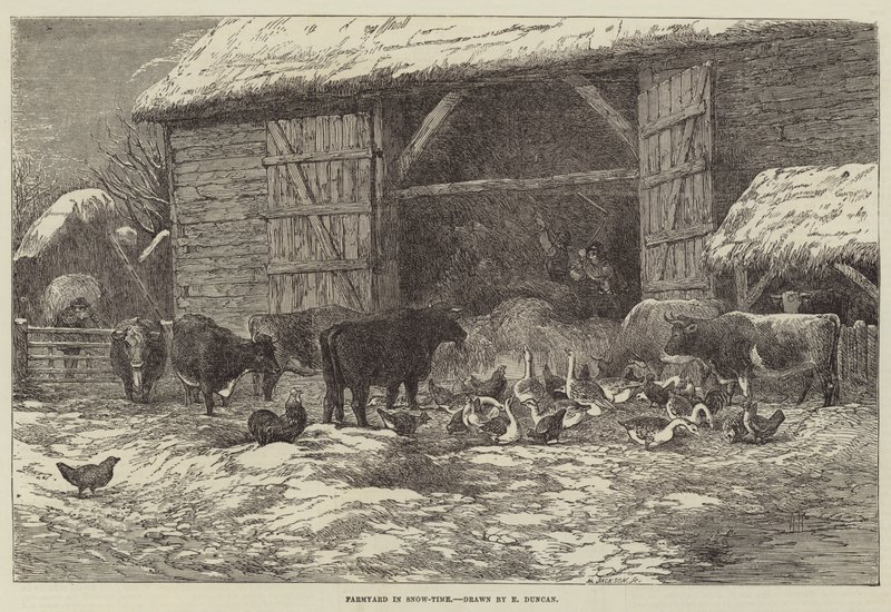 Farmyard a hó-időben alkotó: Edward Duncan