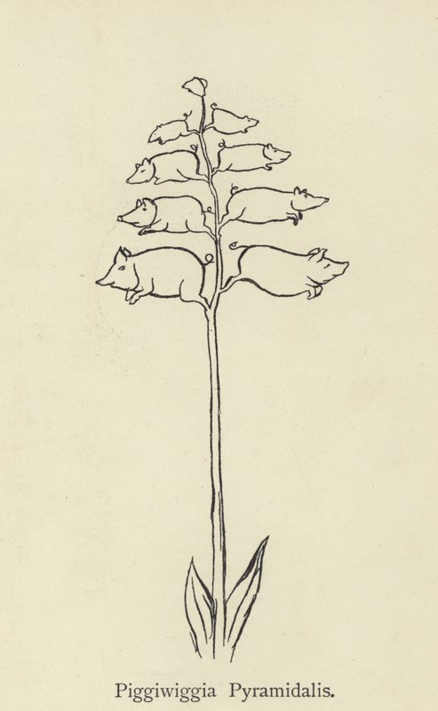 Piggiwiggia Pyramidalis alkotó: Edward Lear