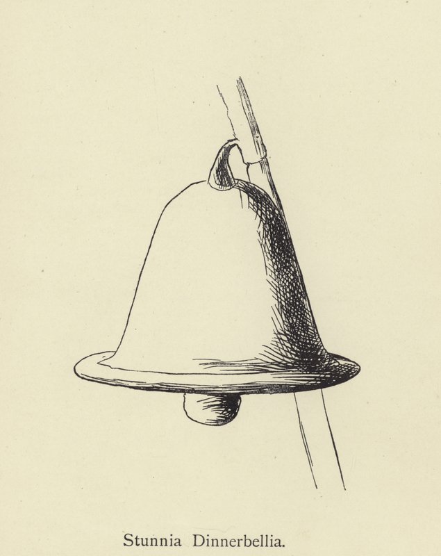 Stunnia Dinnerbellia alkotó: Edward Lear