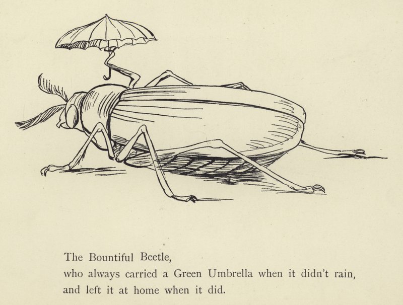 A bőséges bogár alkotó: Edward Lear