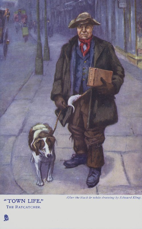 Patkányfogó a kutyájával alkotó: Edward R. King