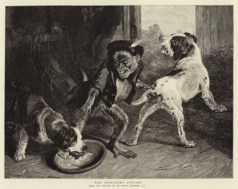A behatoló kölykök alkotó: Edwin Landseer