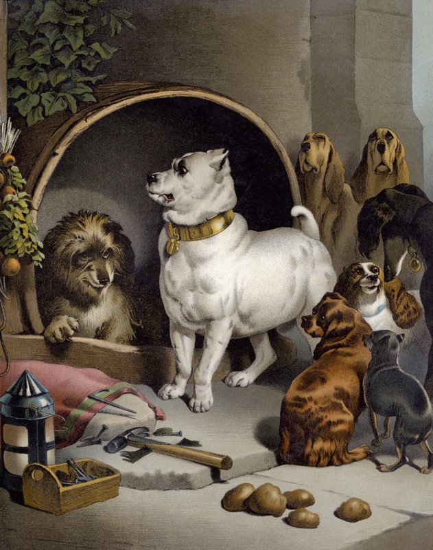 Alexander és Diogenész alkotó: Edwin after Landseer